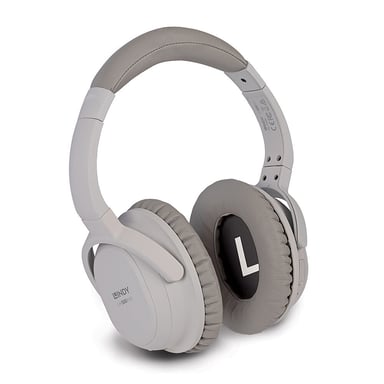 Lindy LH500XW Cuffie con e senza fili per chiamate/musica Micro-USB Bluetooth Grigio