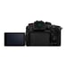 Panasonic Lumix GH6 + Leica DG Vario-Elmarit12-60mm / F2.8-4.0 ASPH. / Power O.I.S. MILC 25,21 MP Live MOS 11552 x 8672 pixels Noir