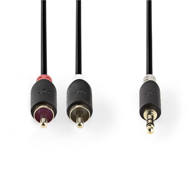 Nedis CABW22200AT50 cavo audio 5 m 3,5 mm 2 x RCA Antracite