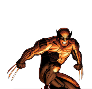 Funko Wolverine Bobble Head - vue 3