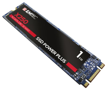 Emtec X250 1 To M.2 Série ATA III