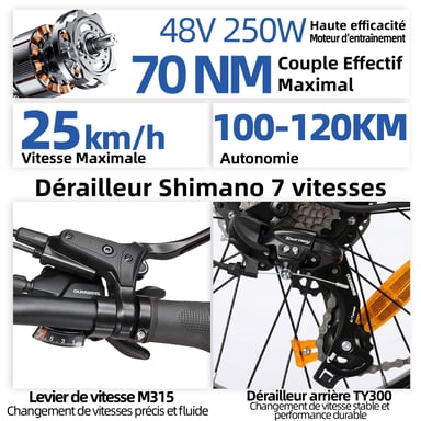 Vélo électrique pliant TTGO F7, batterie 48 V 15 Ah, freins à disque hydrauliques - jaune