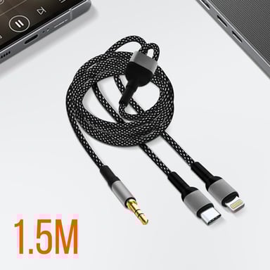 Adaptateur USB-C + iPhone Lightning vers jack 3.5mm, LinQ