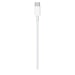 Apple MLL82ZM/A Cable USB C de 2 m Blanco
