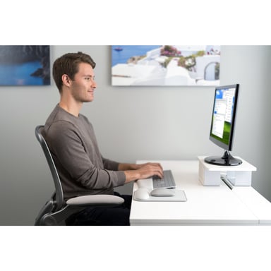 Kensington Tapis souris avec repose-poignets ErgoSoft pour souris standard