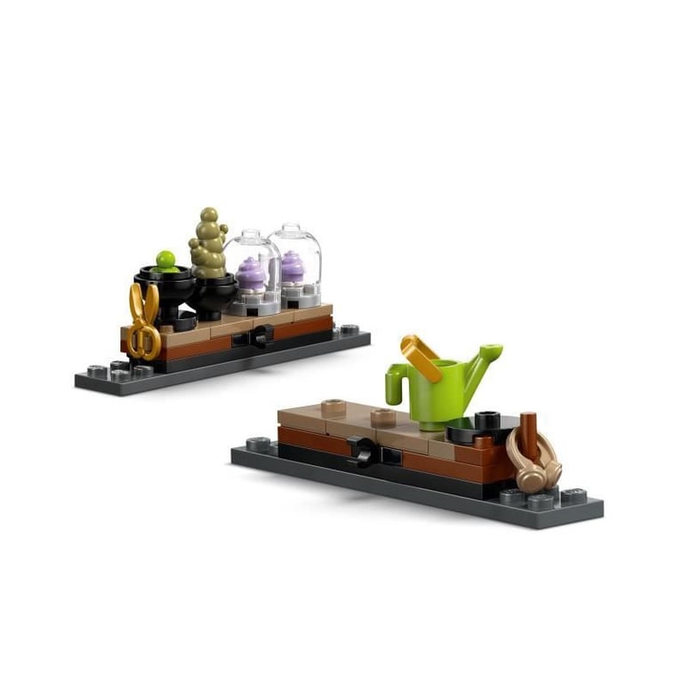 LEGO Harry Potter Le château de Poudlard : le cours de botanique 76445 - vue 5