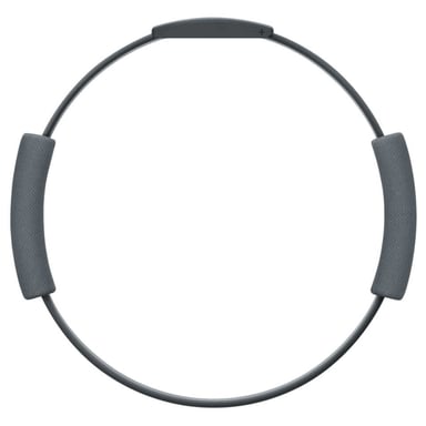 Nintendo Switch + Ring Fit Adventure videoconsola portátil 15,8 cm (6.2'') 32 GB Wifi Negro, Azul, Rojo