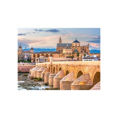 Ravensburger Puzzle 1500 pièces : Cordoue, Espagne - France pour garçon - vue 4