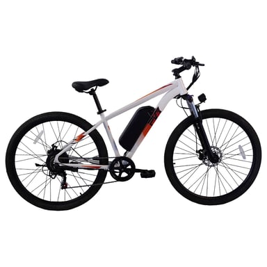PVY M29 Vélo Électrique - Moteur 250W Batterie 48V17.5AH Pneus 29'' Freins à Disque Mécaniques - Blanc