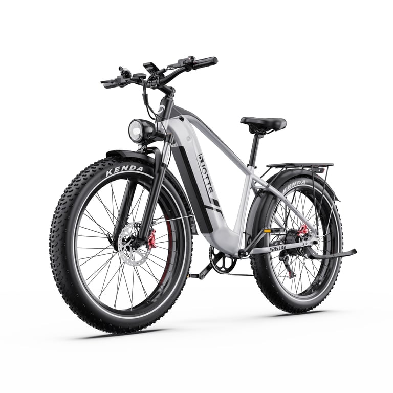 Vélo électrique DUOTTS F26Lite 48 V 18 Ah 26 x 4 pouces pneus larges Neuf - vue 5
