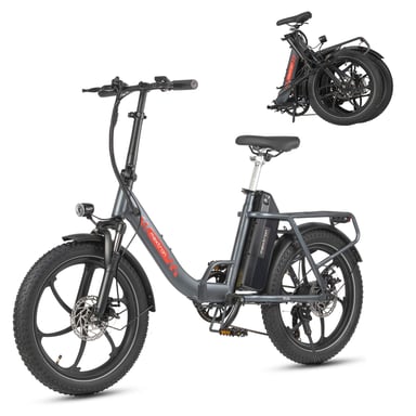 Vélo Électrique MAXTURN MULE - Moteur 250W Batterie 48V20AH 20'' Frein à Disque Mécanique - Gris