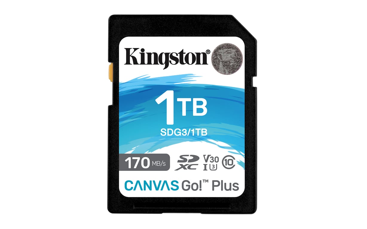 Kingston Technology Canvas Go! Plus Carte SDXC Canvas Go Plus 170R C10 UHS-I U3 V30 de 1 To - Neuf
