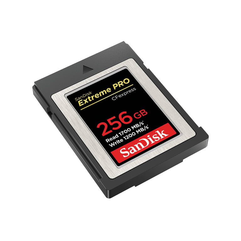 SanDisk SDCFE-256G-GN4NN mémoire flash 256 Go CFexpress - Neuf