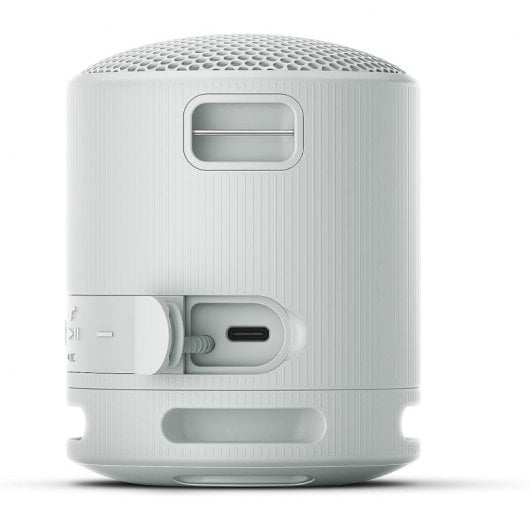 Sony SRS-XB100 Enceinte portable mono Gris - Neuf