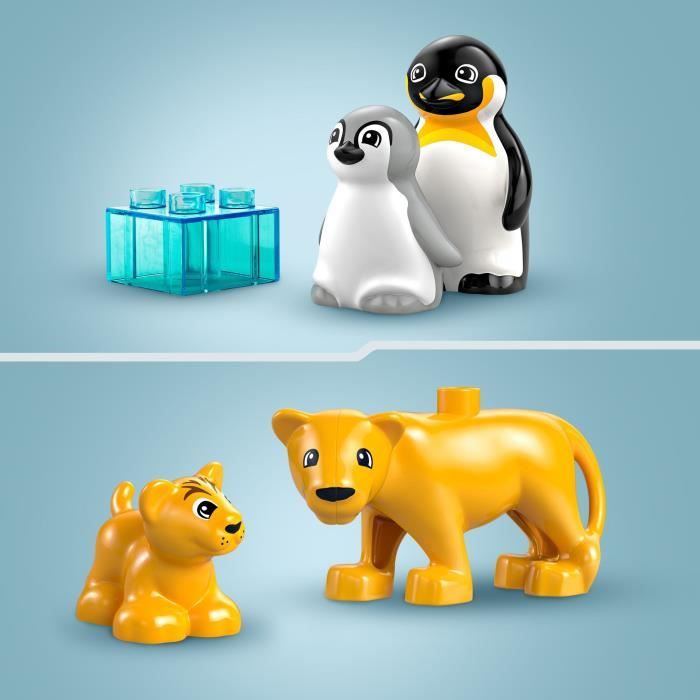 LEGO® DUPLO® Ma ville Familles d’animaux sauvages : pingouins et lions 10442 - vue 4