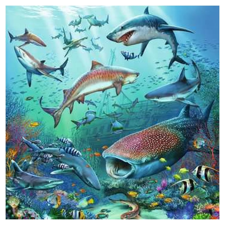 Puzzles 3 x 49 pièces : Le monde animal de 'océan Ravensburger France - vue 4