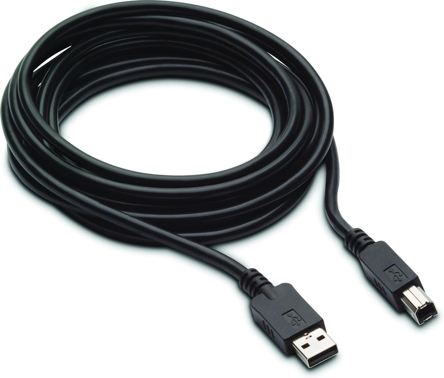 HP Câble DP & USB B A 300 cm - vue 2