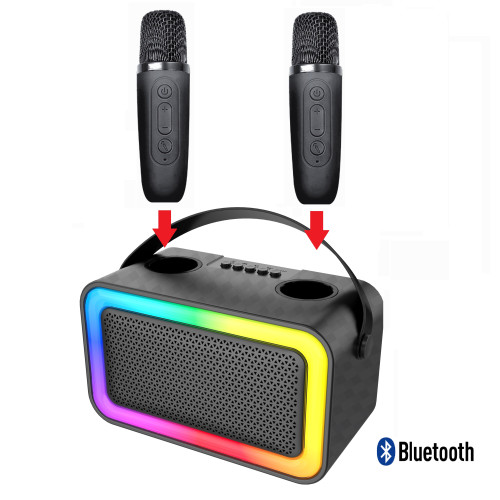 Enceinte Bluetooth KARAOKE 2 micros 100W - Neuf