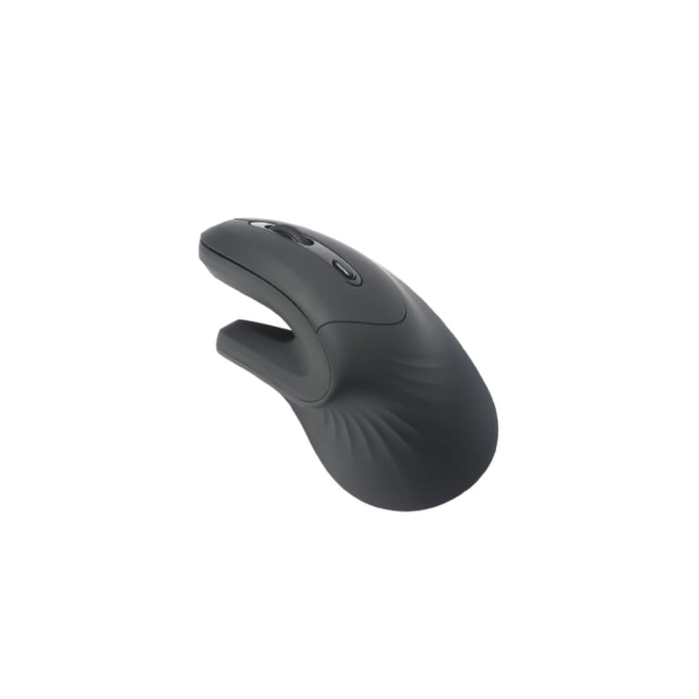 ergonomique WE 2 en 1 connexion BT + 2.4GHz 5 boutons et 1 molette DPI 800 1200 1600 1 pile AA inclus Neuf