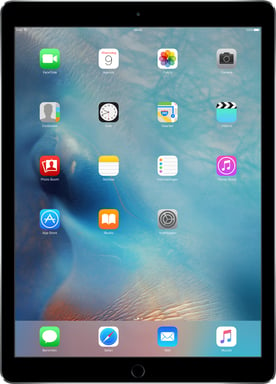 Apple iPad Pro 256 Go 32,8 cm (12.9'') Wi-Fi 5 (802.11ac) iOS Gris