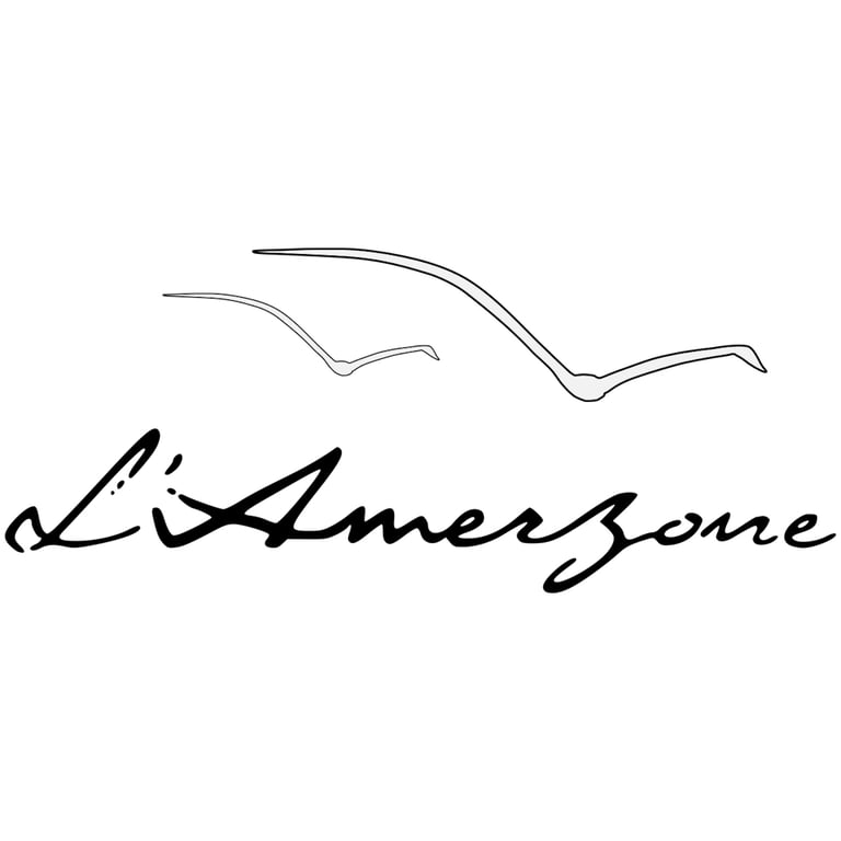 ?amerzone: Le Testament De ?explorateur Ps5 Microids - vue 5