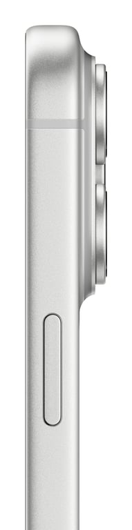 iPhone 17 Pro Max (5G) 256 Go, Argent - Excellent état