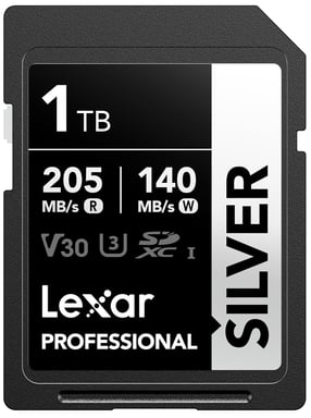 Silver Carte SD 1To, UHS-I Carte SDXC Jusqu'à 205 Mo/s en Lecture, 140 Mo/s en écriture, V30, 4K UHD Video, U3, Classe 10, Carte Mémoire SDXC avec Lifetime Data Recovery