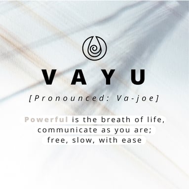 Selencia Coque arrière en cuir végan Vayu pour Apple iPhone 12 (Pro) - Noir