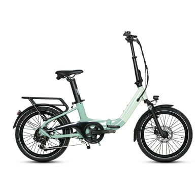 Bici elettrica per adulti JOBOBIKE Ace Pro 250W 36V10AH