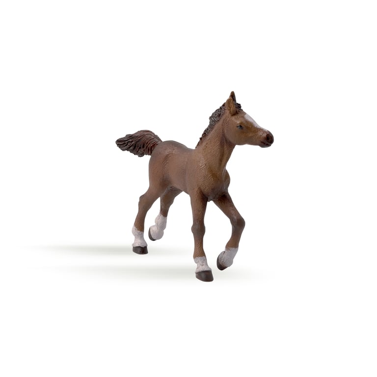 Papo 51076 Animaux Poulain Anglo Arabe Neuf