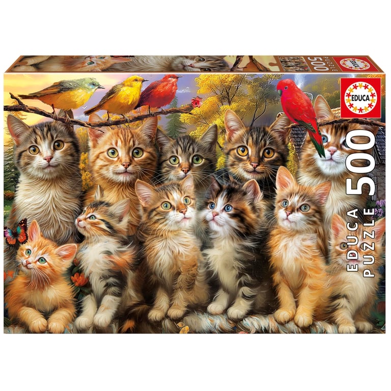 Puzzle EDUCA Chatons et Oiseaux 500 pièces