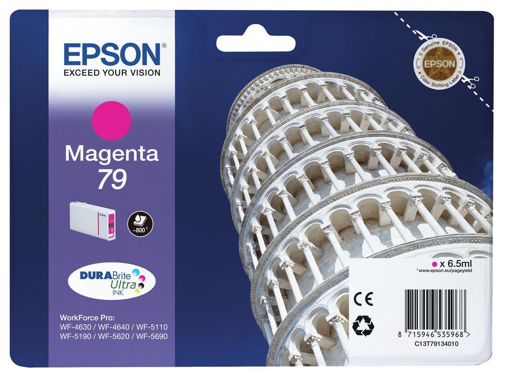 Epson 79 Tour de Pise - vue 5