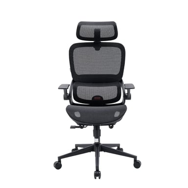 B100 Sedia ergonomica – Supporto sacrale,3 posizioni di blocco dell'inclinazione,Poggiatesta ampio 2D,Braccioli ribaltabili,Rete traspirante,150kg max,Nero