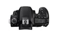 Canon EOS 90D + EF-S 18-135mm f/3.5-5.6 IS USM Kit d'appareil-photo SLR 32,5 MP CMOS 6960 x 4640 pixels Noir