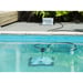 UBBINK Robotclean 1 Limpiafondos de piscina