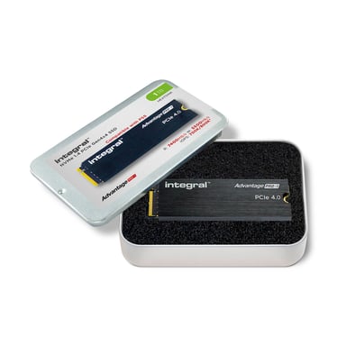 Integral INSSD1TM2280G4AP1XHS disque SSD 1 To M.2 PCI Express 4.0 NVMe