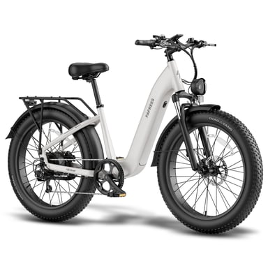 Vélo électrique FAFREES F26 ROVER - Batterie 48 V 20 Ah, moteur 250 W - Gris