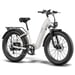 Bicicletta elettrica FAFREES F26 ROVER con batteria da 48 V 20 Ah e motore da 250 W - grigia
