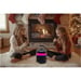 Enceinte Bluetooth karaoké MUSE M-530 KA 30 W Noir avec 2 micros sans fil, USB MP3, AUX 3,5 mm, atténuation des paroles, LED IPX5