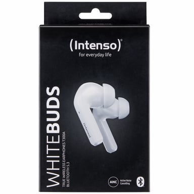 Intenso White Buds T302A Écouteurs True Wireless Stereo (TWS) Ecouteurs Appels/Musique/Sport/Au quotidien USB Type-C Bluetooth Blanc