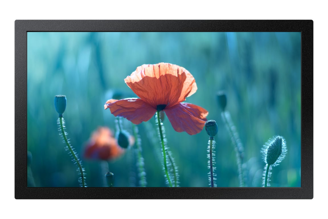 Samsung QB13R tableau interactif 33 cm 13 1920 x 1080 pixels Neuf