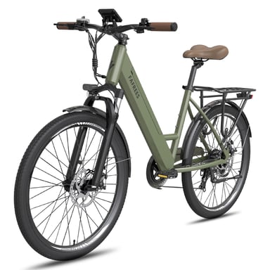 FAFREES F26 Pro Vélo électrique batterie 36V 15Ah moteur 250W Vélo électrique