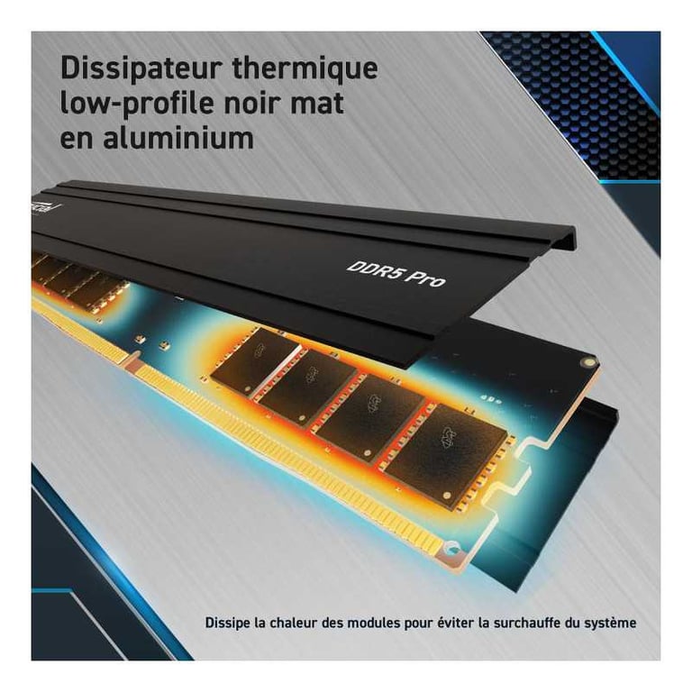 Crucial CP16G56C46U5T module de mémoire 1 x DDR5 5600 MHz Neuf - vue 2