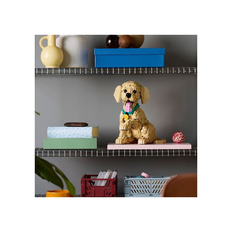 LEGO Icons Le Chiot Golden Retriever 11384 - vue 6