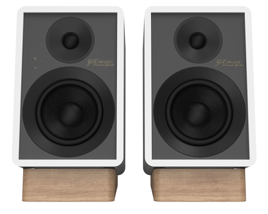 ONKYO GX-30ARC 2-voies Gris, Blanc Avec fil &sans fil 50 W - Neuf