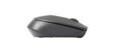 Rapoo M100 Silent souris Ambidextre RF sans fil + Bluetooth Optique 1000 DPI