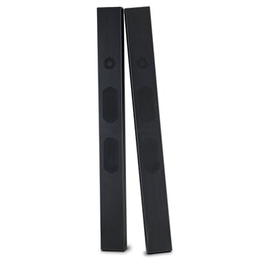 NEC SP-TF1 Noir 30 W