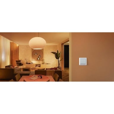Philips Module d'interrupteur mural Hue