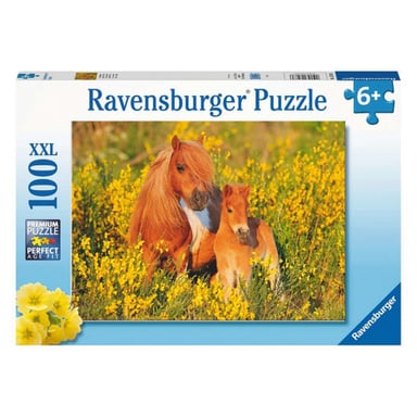 Puzzle 100 piezas XXL - Ponis Shetland para niños