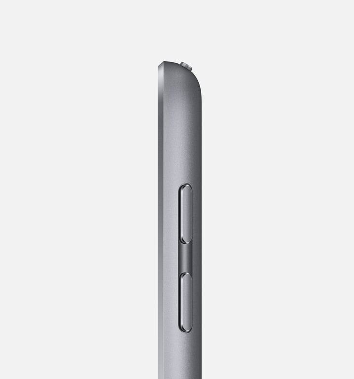 Apple iPad 4G LTE 128 GB 24,6 cm (9.7